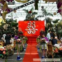 太原市迎澤區(qū)浪漫一生禮儀慶典服務部 一站式婚慶服務指南