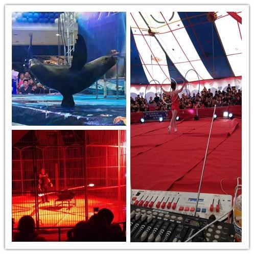 鹿泉馬戲團雜技表演租賃有多少節目