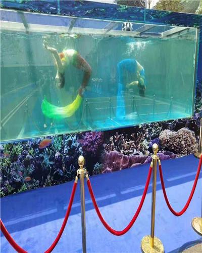 沈陽(yáng)馬戲團(tuán)出租預(yù)約電話(huà)