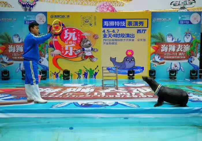 張家口市沽源縣馬戲團(tuán)動(dòng)物租賃馴養(yǎng)員