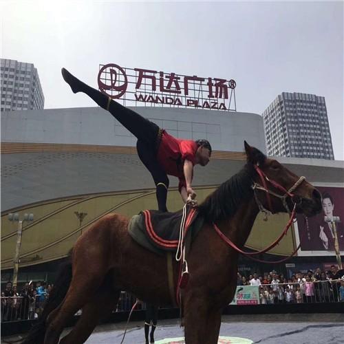 宜賓市哪里有馬戲團(tuán)表演出租一天多少錢(qián) - 眾鑫動(dòng)物表演租賃