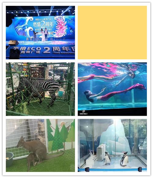 百色市馬戲團(tuán)表演出租哪里有