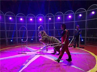 地產(chǎn)開(kāi)盤(pán)暖場(chǎng)大馬戲團(tuán)表演出租咨詢(xún)預(yù)定