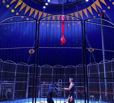 皇家馬戲團(tuán)表演租賃專(zhuān)業(yè)馬戲團(tuán)表演的秘密揭秘