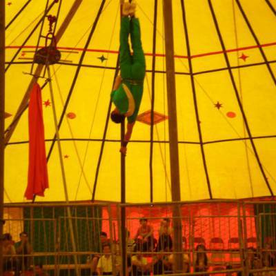 馬戲團(tuán)大型馴獸表演出租 皇家大馬戲活動(dòng)方案租賃