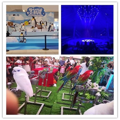 常州馬戲團(tuán)表演出租特色節(jié)目