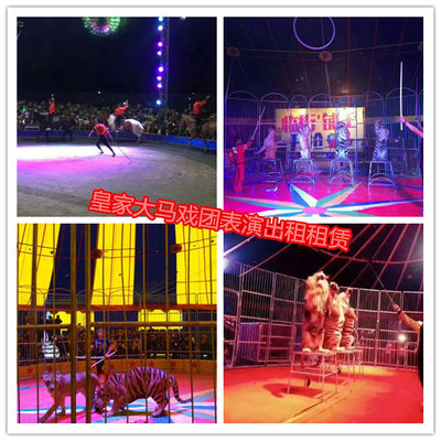 海豹租賃衡陽市馬戲團表演出租