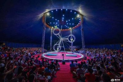 雜技馬戲團(tuán)獅子表演環(huán)球飛車大飛輪表演出租動(dòng)物租賃資源