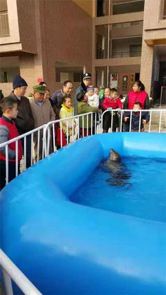萌寵展百鳥展海獅表演出租馬戲團(tuán)表演租賃