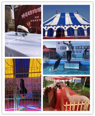 從化大型馬戲團(tuán)表演出租附近地區(qū)