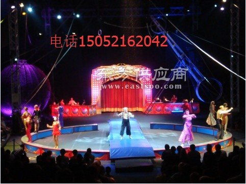 馬戲團表演出租展覽動物雜技馴養低價租賃圖片