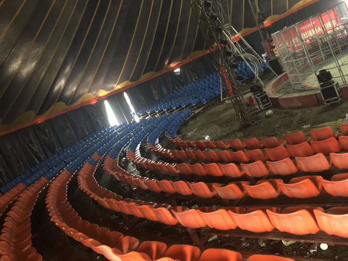 馬戲團出租 延安趣味萌寵動物