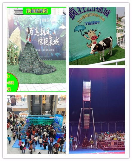 洛陽市出租馬戲團表演親子互動