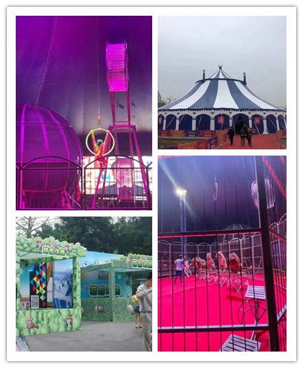 沈陽市馬戲團表演出租企鵝租賃元旦活動