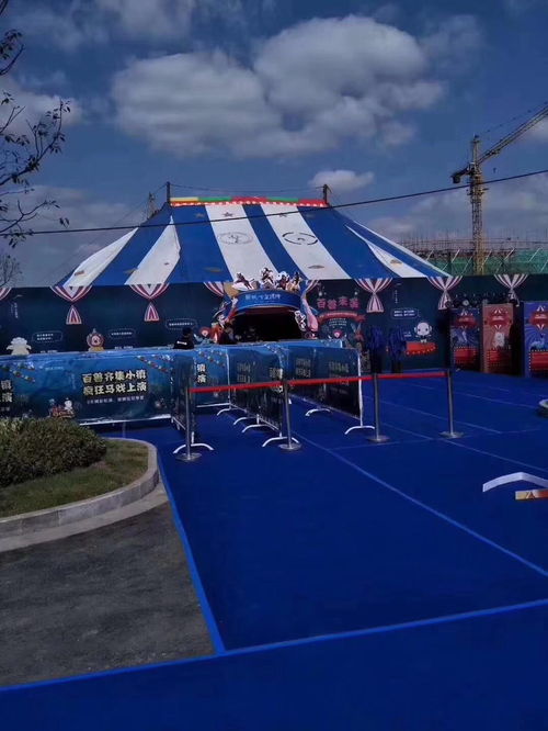 馬戲團演出出租策劃方案馬戲團表演節(jié)目那些