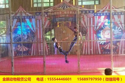 專業(yè)馬戲團(tuán)表演團(tuán)體出租租賃鶴壁_養(yǎng)殖/種植欄目_