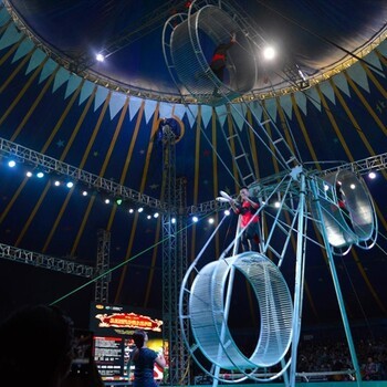 大型馬戲團出租雜技表演租賃馬戲團價格