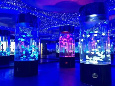 勝凱|動物出租|馬戲團表演出租|魚缸展|環球飛車|馴鹿出