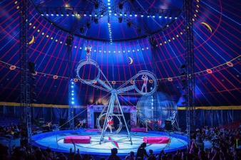 馬戲團出租,環(huán)球飛車,夢幻飛輪,動物表演,雜技表演,雜技演出